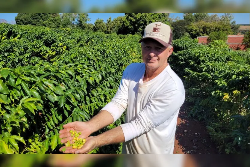  Carlos Bovo,  presidente da Associação dos Cafeicultores de Apucarana 