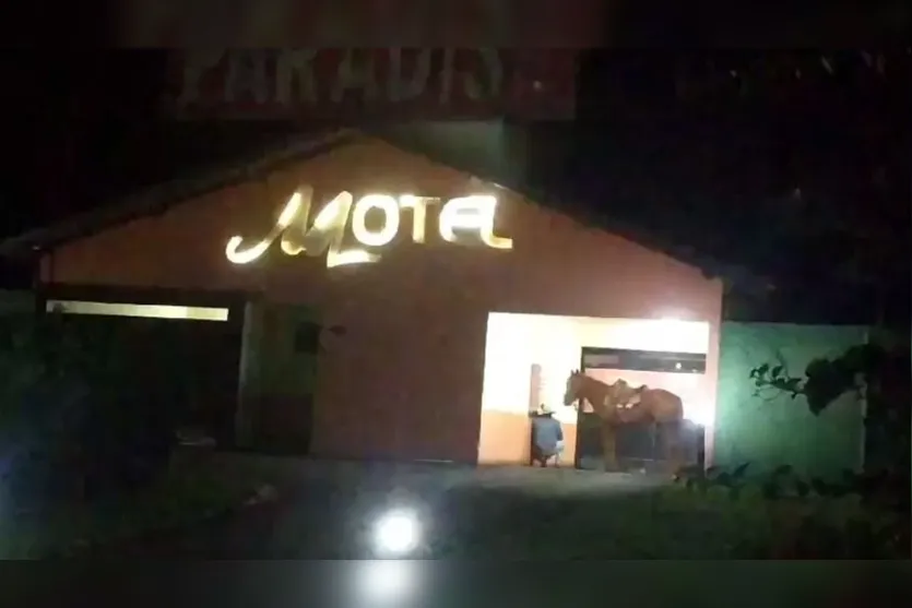  Homem foi filmado na recepção de motel junto com seu cavalo 