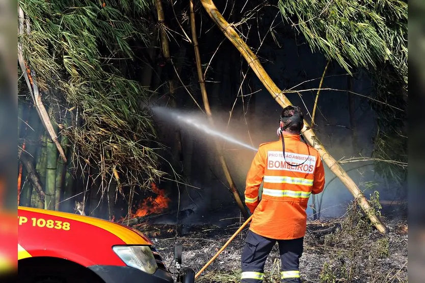  Incêndios ambientais aumentam com a falta de chuva 