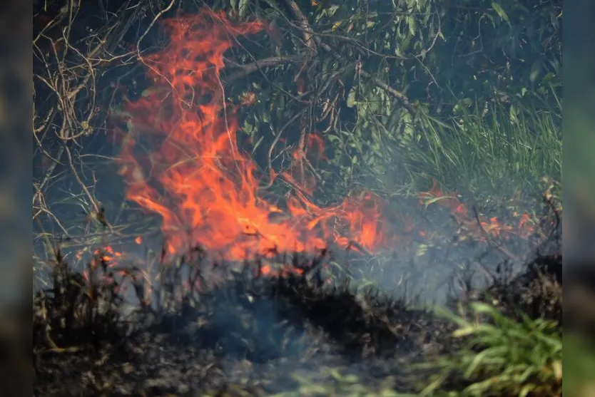  Muitos moradores colocam fogo em terrenos para promover uma "limpeza" 