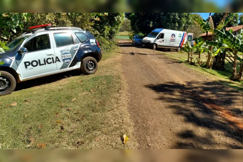 Polícia Civil resgata cães em situação de maus-tratos no Pirapó