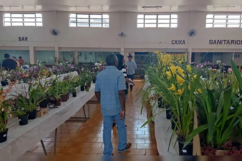  16ª Exposição e Vendas de Orquídeas de Jardim Alegre 