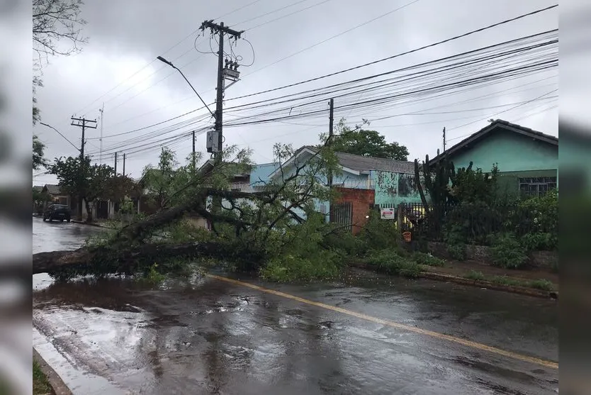  Avenida Aviação está interditada neste domingo (8) 