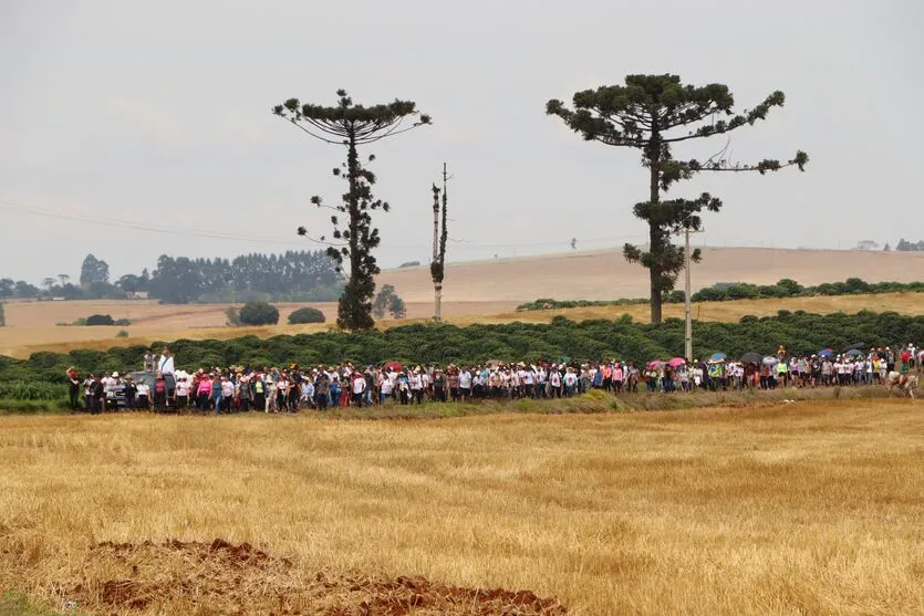  Caminhada reuniu centenas 