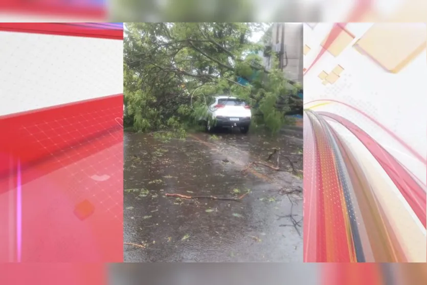  Carro atingido no meio da rua em Apucarana 