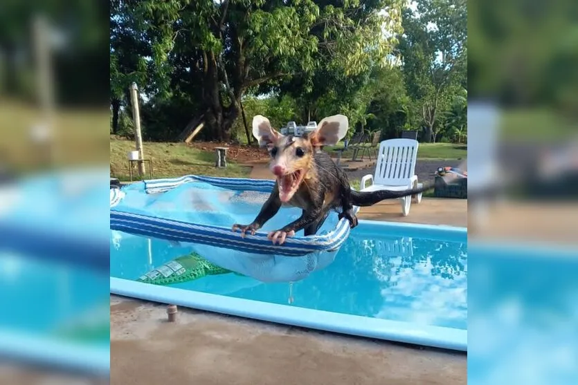  Ivatuba registrou máxima de 41°C nessa segunda 