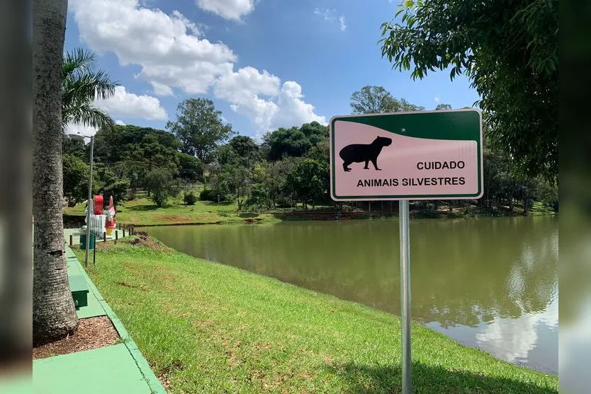  Placas sinalizam para presença dos animais em Apucarana 