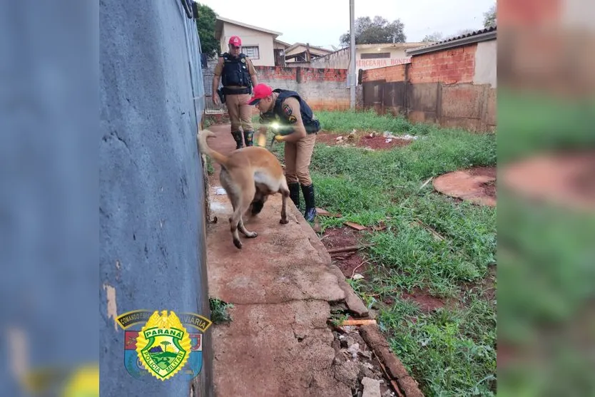 Polícia Rodoviária apreende drogas em Ivaiporã e Jardim Alegre; veja