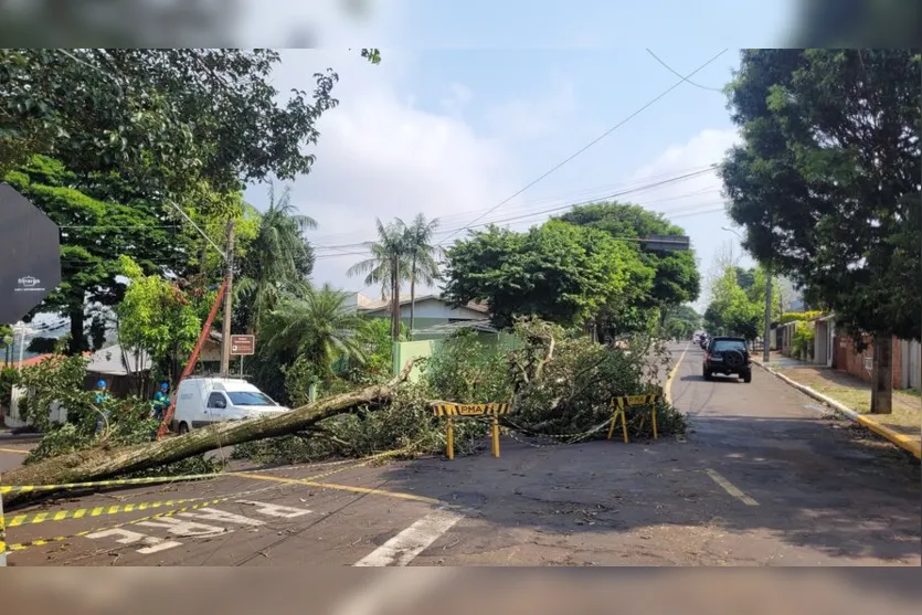  Temporal causou diversos estragos pela cidade 