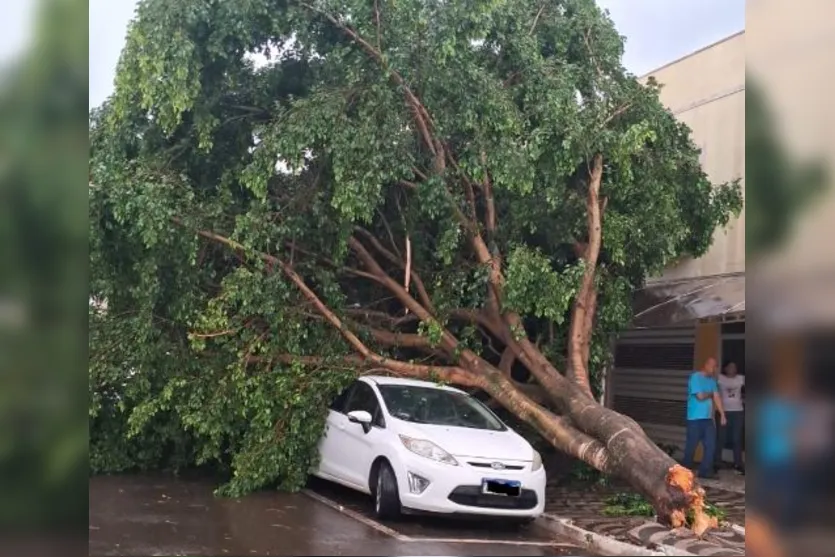 Temporal deixa rastro de destruição em Apucarana; veja fotos e vídeos