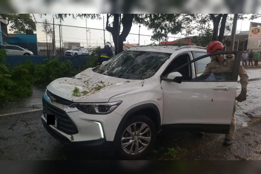  Tracker foi atingido por árvore em temporal 