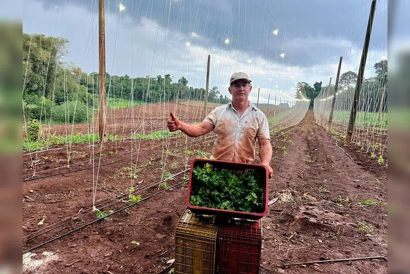  Daniel de Oliveira decidiu apostar no cultivo de lúpulo 