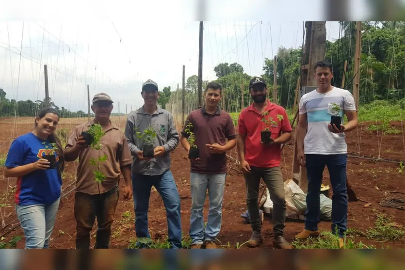  Mais de duas mil mudas de lúpulo foram plantadas na propriedade 