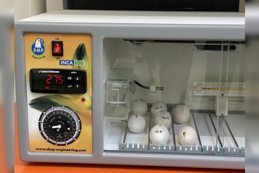  Ovos foram chocados por incubadora 