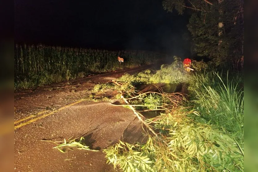 Chuvas em SC causam 2 mortes, enchentes e rodovias interditadas; veja