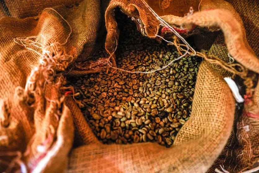  O Paraná passou a ser reconhecido pela qualidade do seu café 