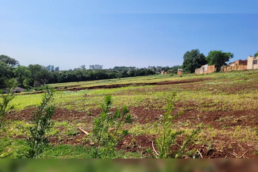  O Reserva do Bosque oferece lotes a partir de 200 metros quadrados 