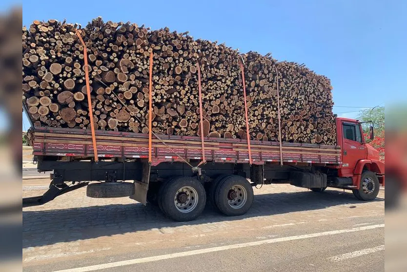  O caminhão envolvido no acidente transportava lenha 