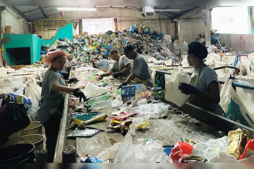  Cooperados durante o trabalho em Apucarana 