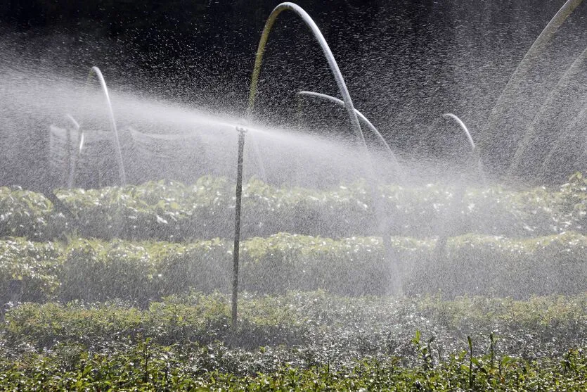  IAT - O Instituto Água e Terra possui  Viveiros de produção de mudas florestais nativas, distribuídos por todo o estado e produzindo mudas de mais de 80 espécies florestais nativas do Paraná. 