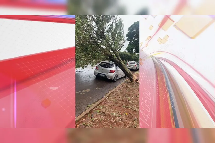  Prejuízos foram registrados por conta do temporal 