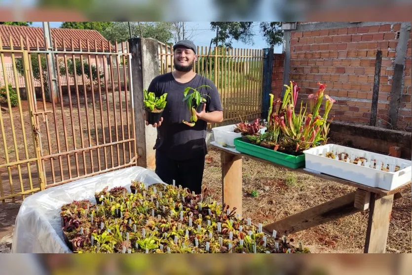  Wesley transformou o cultivo de plantas carnívoras em negócio 