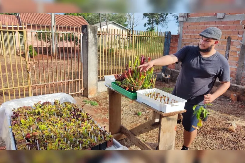  Wesley transformou o cultivo de plantas carnívoras em negócio 