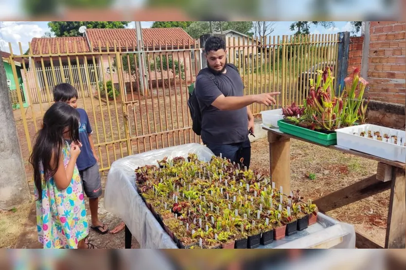  Wesley transformou o cultivo de plantas carnívoras em negócio 