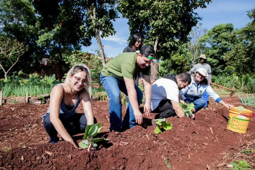  Alunos visitaram hortas na manhã desta segunda-feira (26) 