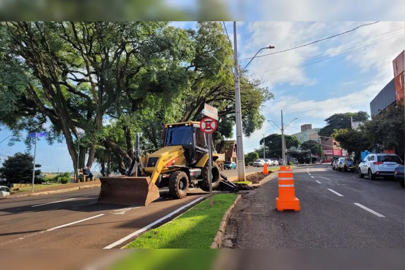  As melhorias ocorrem nos canteiros das Avenidas Paraná e Aparício Cardoso Bitencourt 