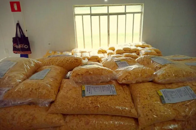 Com apoio do Estado, cooperativa de Pinhão investe em farinha de milho