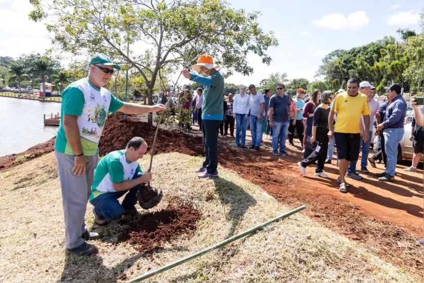  Foram plantadas 80 cerejeiras nos parques da Raposa, Jaboti e Biguaçu 