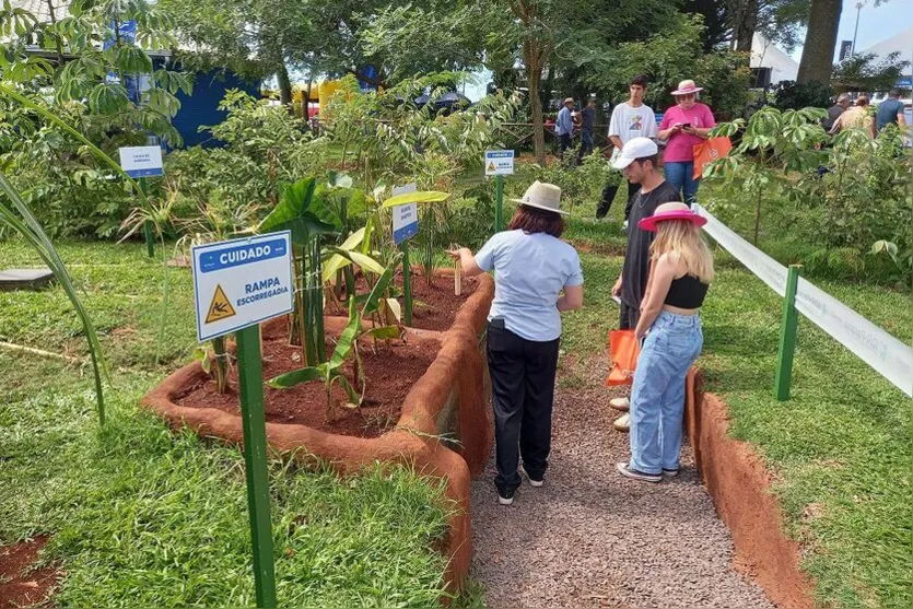  O Caminho das Águas está aberto a todos os visitantes até sexta-feira (9) 