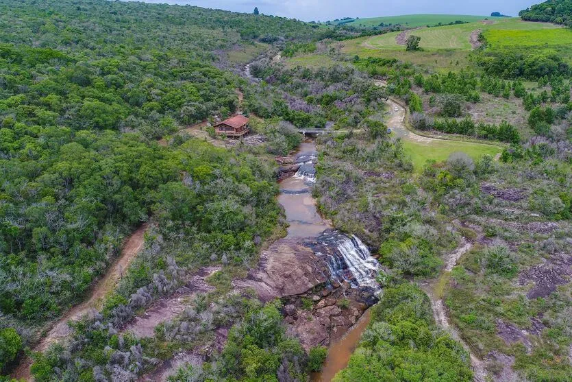 Parques do Paraná têm flora rica e cores exuberantes; saiba quais