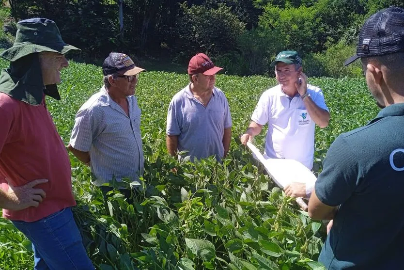 Soja orgânica aumenta rendimento de produtores de Jardim Alegre