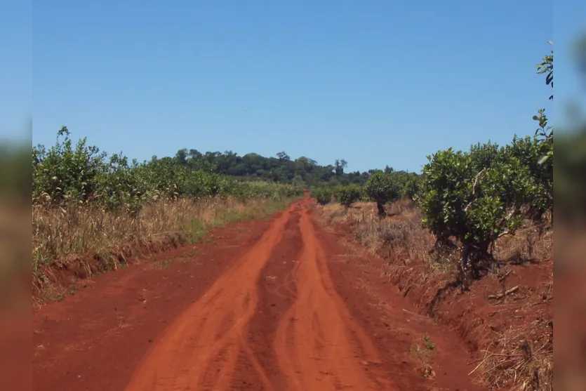  Terra Roxa é uma evidência do passado vulcânico na região 