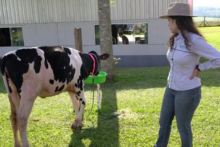  presenta como principais características a rusticidade, tolerância ao calor e resistência ao carrapato e a outros parasitas 