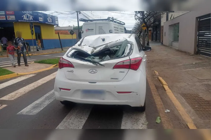  Carro foi atingido na traseira pela árvore 