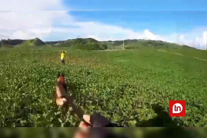 Com cão farejador, PM captura envolvido em roubo de caminhão da Havan