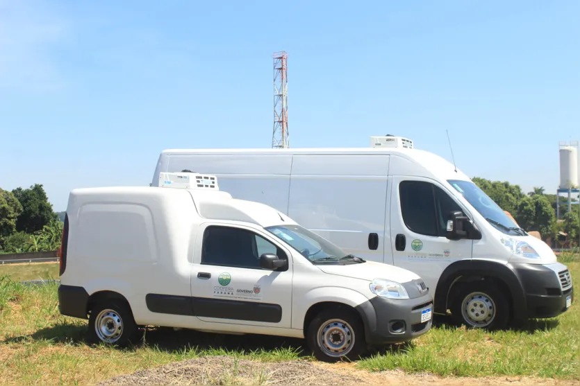 Família de agricultores de Paiçandu inova com produção de farofa