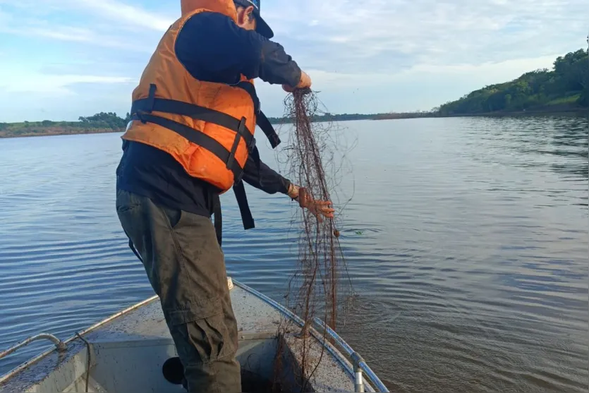 IAT conclui Piracema com R$ 265 mil em multas e peixes apreendidos