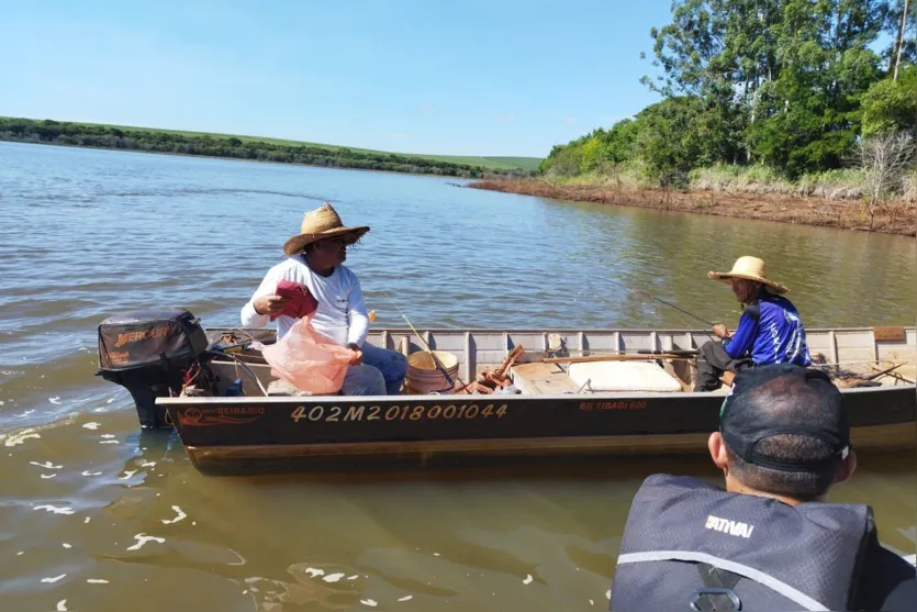 IAT conclui Piracema com R$ 265 mil em multas e peixes apreendidos