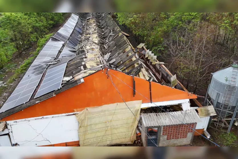 Microexplosão arranca árvores e destelha casa; entenda o fenômeno