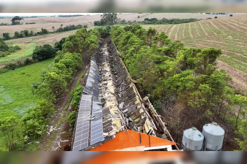 Microexplosão arranca árvores e destelha casa; entenda o fenômeno