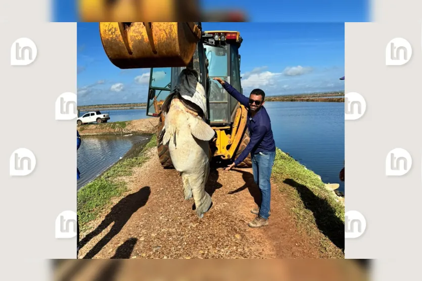  O peixe foi encontrado na manhã dessa terça-feira 