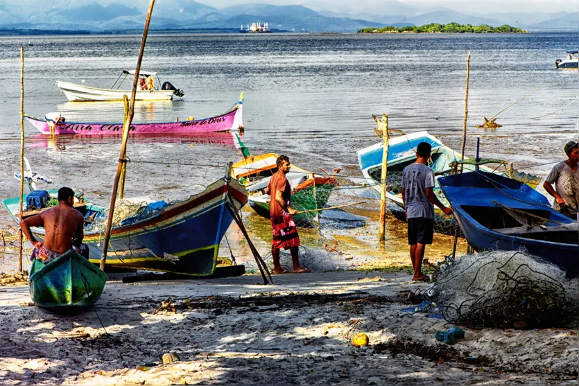 Proibição da pesca do caranguejo-uçá começa nesta sexta (15) no Paraná