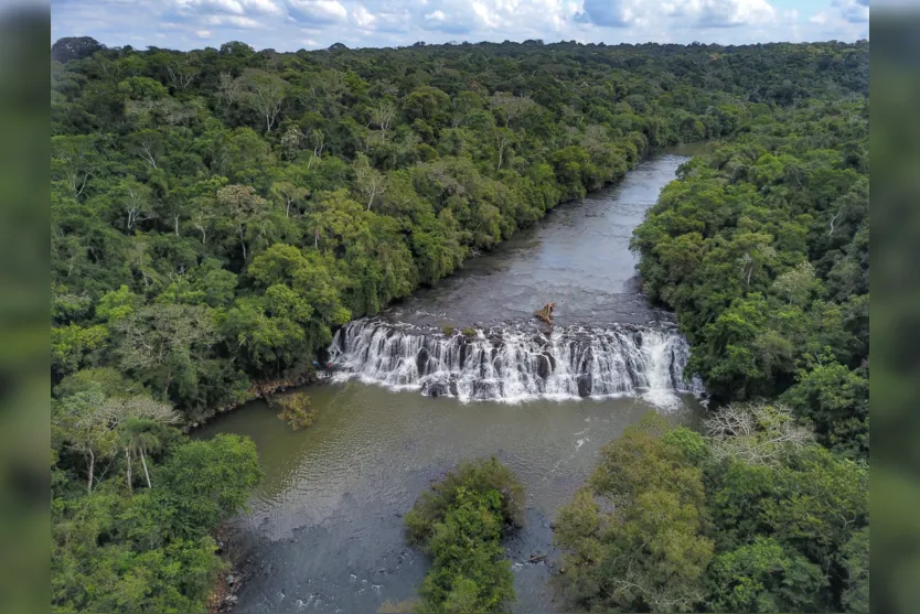 Sanepar: 4,6 milhões de paranaenses passaram a ter coleta de esgoto