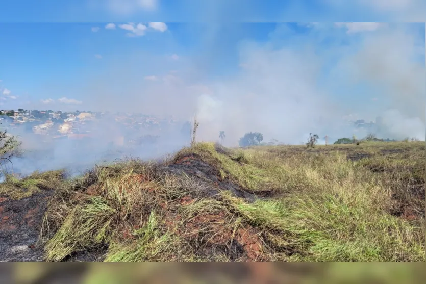  Ações visam impedir que fogo chegue na mata do Lago Tarumã-Ouro Fino 