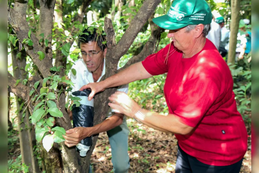  Curso acontecerá nos dias 18, 19 e 20 de abril 