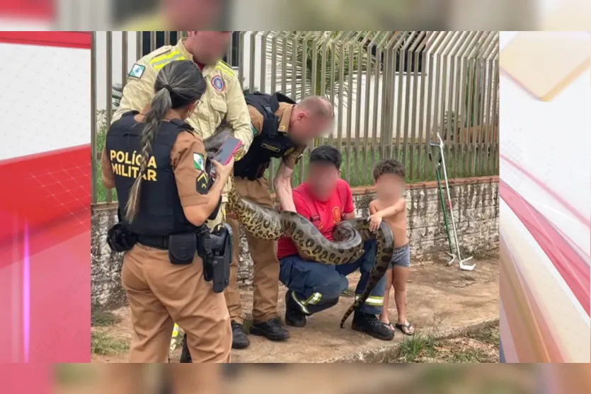  Sucuri podia oferecer risco aos moradores da região 